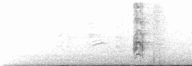 Turuncu Alınlı Papağan - ML133281231