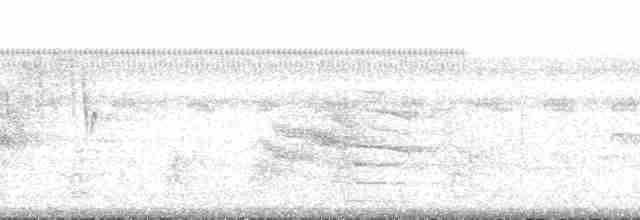 Короткохвостый канюк - ML133301