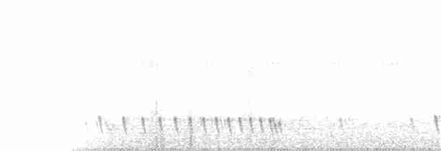 Indiennachtschwalbe - ML133330121