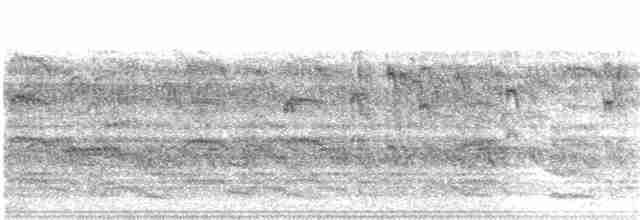 Common Tern - ML133341871