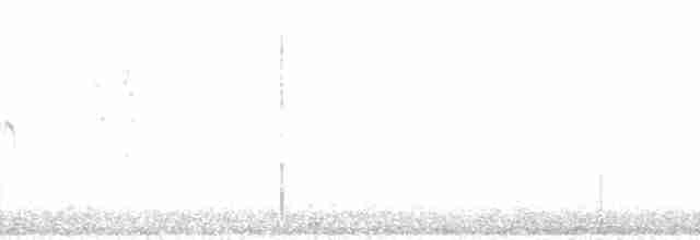 Blackpoll Warbler - ML133377