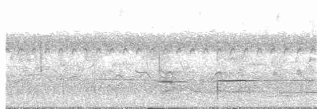 Striped Cuckoo - ML133396321