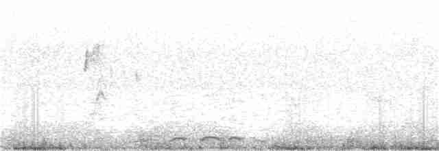 Küçük Kumru - ML133447011