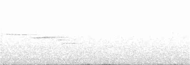 Дрізд-короткодзьоб сірий - ML133453931