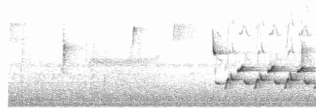 Karolina Çıtkuşu - ML133489311