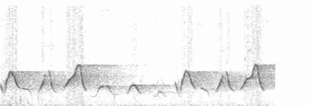 Plain-tailed Wren - ML133495721