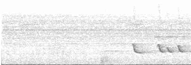 Белокрылый бекард - ML133652991