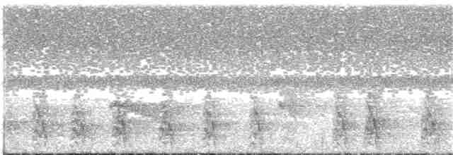 Breithauben-Stirnvogel - ML133653941