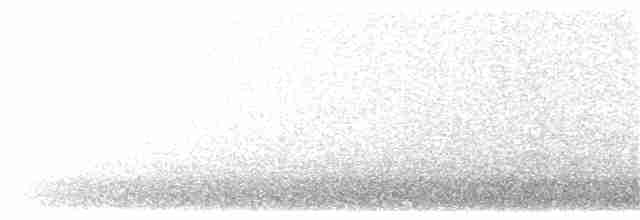 orel bělohlavý - ML133655871