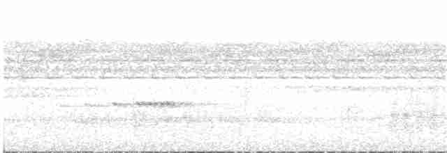 Undulated Tinamou - ML133661941