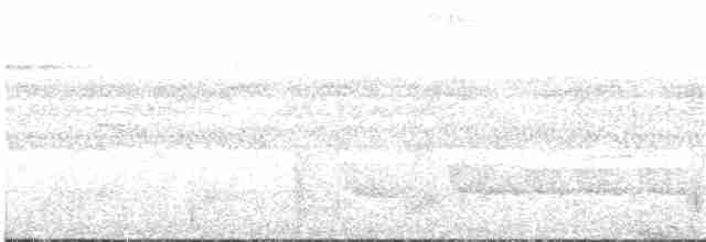 Breithauben-Stirnvogel - ML133663041
