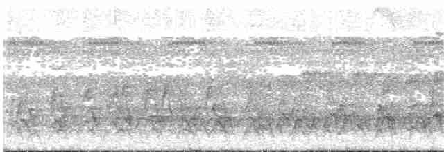 Лінивка-чорнопер білолоба - ML133663851