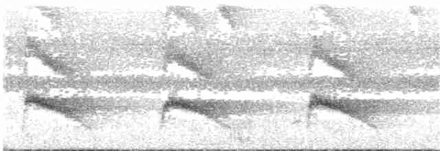 Пая гіацинтова - ML133664011