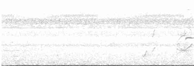 Ласточковая танагра - ML133676861