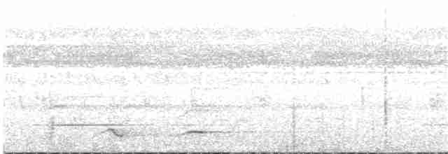 White-throated Toucan - ML133677061