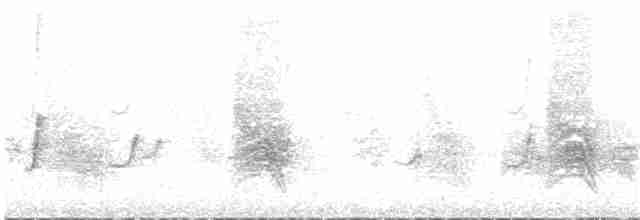 Галапагосский миарх - ML133678781