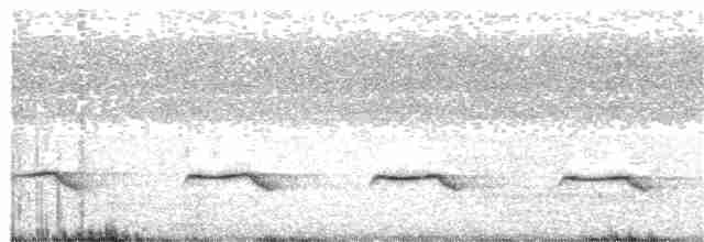 Кустарниковая кукушка - ML133685851