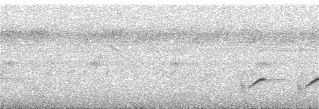 Black-and-white Shrike-flycatcher - ML133691321