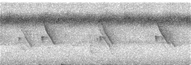 svarthodeapalis - ML133692981