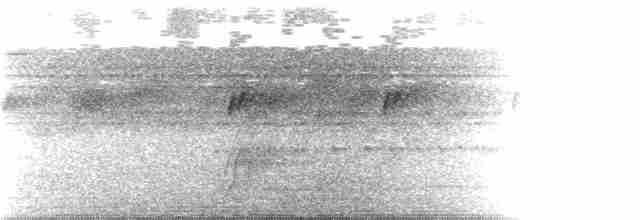 Серогрудый гусеницеед - ML133715901