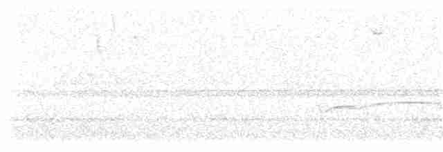 Höhennachtschwalbe [ruwenzorii-Gruppe] - ML133732121