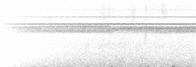 Рувензорская короткохвостка - ML133736931
