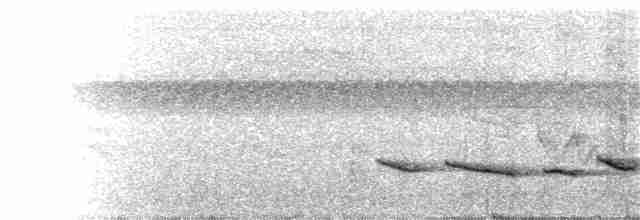 Зернолуск білогорлий - ML133739081