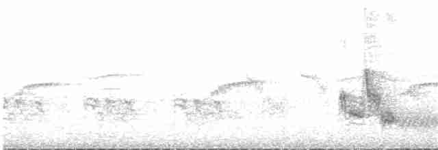 Толстоклювый дарвинов вьюрок - ML133749691