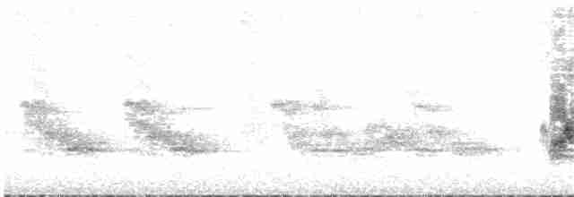 Малый галапагосский вьюрок - ML133749771