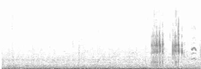 Галапагосская чайка - ML133751121