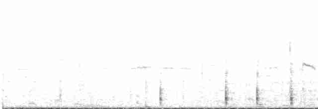 Красноногая олуша - ML133751561