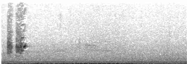 フッドマネシツグミ - ML133754491