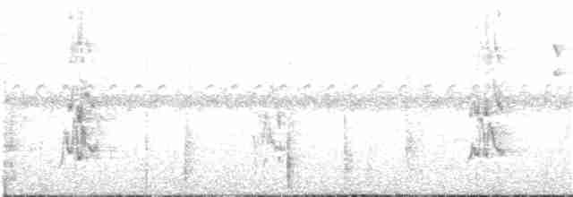 Красноклювый амазонет - ML133759551
