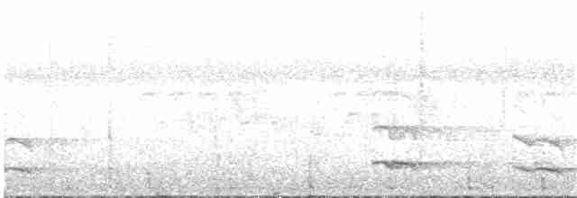 tukan žlutohrdlý (ssp. swainsonii) - ML133760281