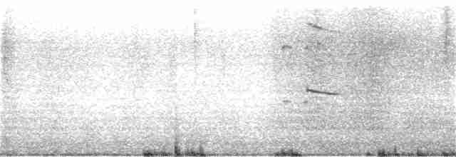 Polarmöwe (kumlieni) - ML133792891