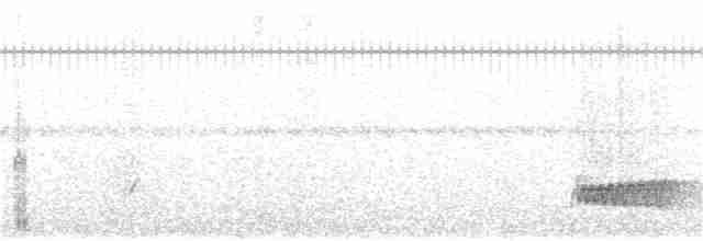 Скрытохвост татаупа - ML133812961