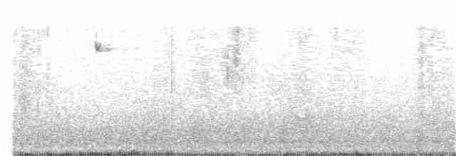 Batı Amerika Sinekkapanı - ML133819501