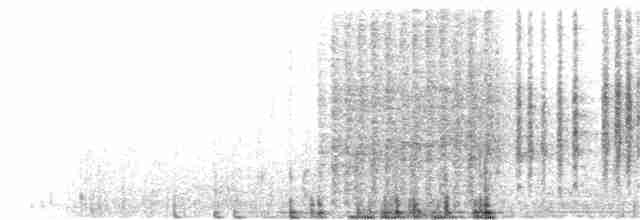 Gri Şeritli Çıtkuşu - ML133847091