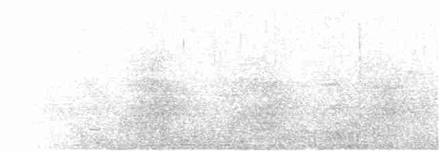 Long-tailed Wood-Partridge - ML133847291