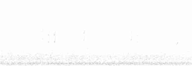 Corbeau de Tasmanie - ML133861511