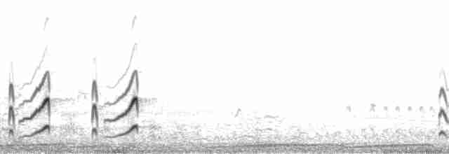 kamenáček černohlavý - ML133886