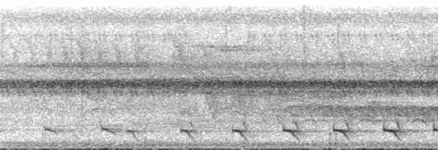 Trogon surucua (surrucura) - ML133903