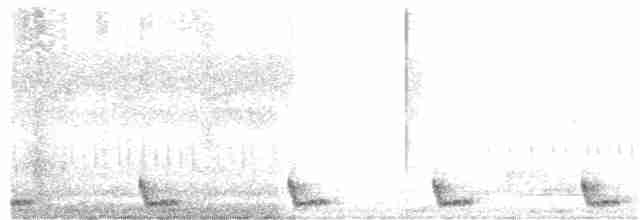 Large-tailed Nightjar - ML133923421