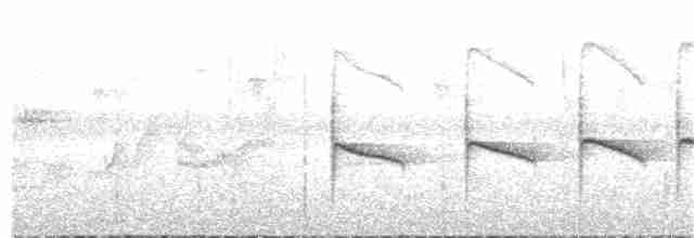 Тиранчик-тонкодзьоб південний - ML133931381