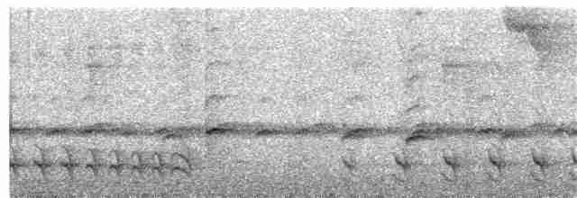 Bar-crested Antshrike - ML133936691