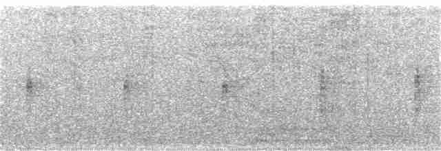 Indiennachtschwalbe - ML133938161