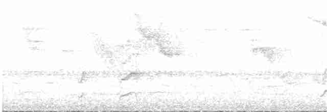 Olivgrau-Ameisenvogel - ML133988361