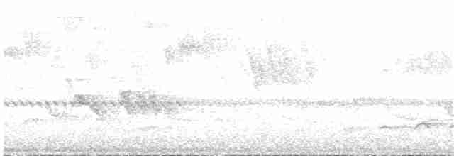 Olivgrau-Ameisenvogel - ML133988521