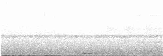 Hochlandmotmot - ML133991021