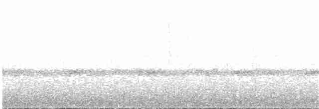 Collared Trogon - ML133991281